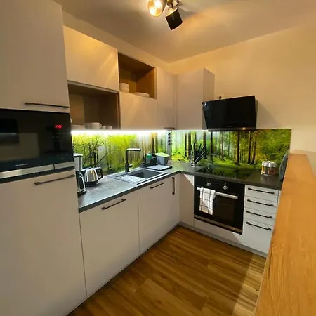 Barrierefreies Ferienapartment A2 Villa Wilisch 55Qm Amtsberg Extérieur photo